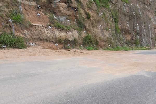 Imagem do WhatsApp de 2024-12-12 à(s) 14.38.10_e84a8de4