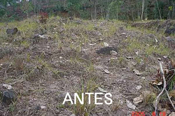 area-20-7.63-ha antes