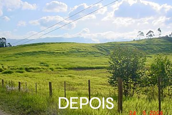 area-20-7.63-ha depois