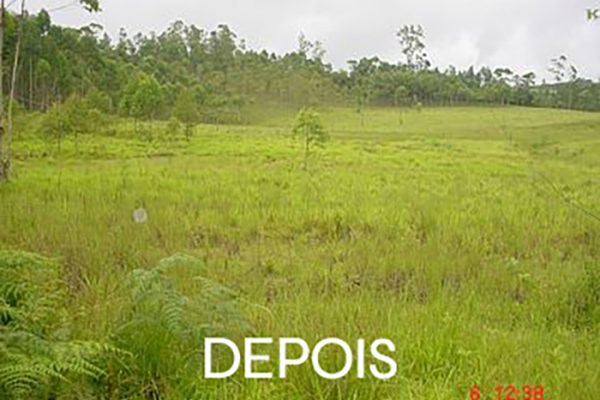 coreia-II-8.38-ha depois