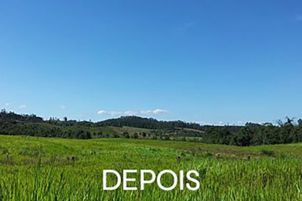 mina-bett-9.83-ha depois